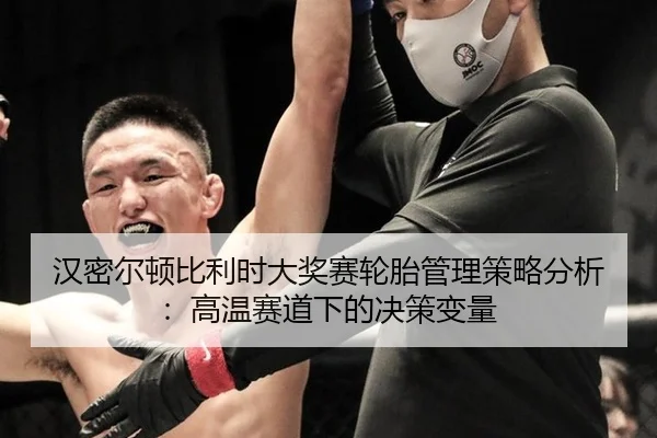汉密尔顿比利时大奖赛轮胎管理策略分析：高温赛道下的决策变量
